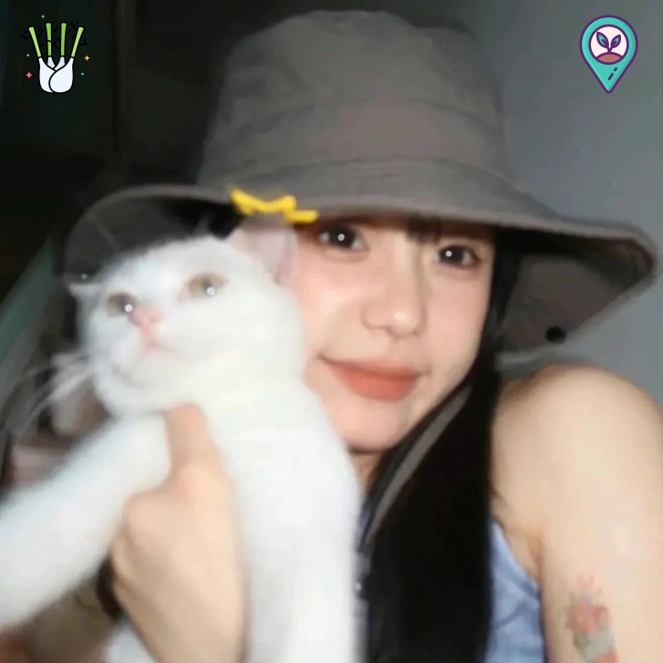 何女士